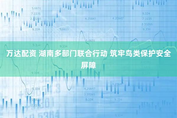万达配资 湖南多部门联合行动 筑牢鸟类保护安全屏障