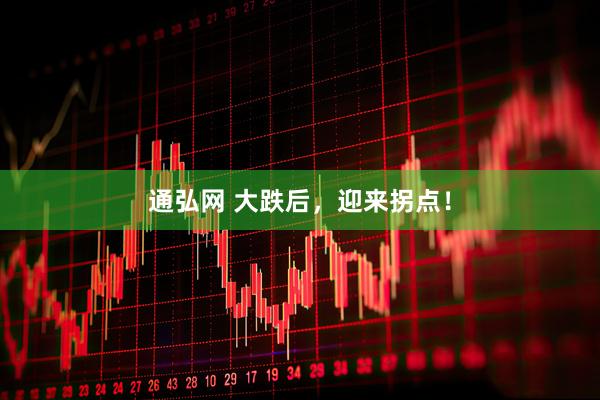 通弘网 大跌后，迎来拐点！