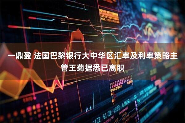 一鼎盈 法国巴黎银行大中华区汇率及利率策略主管王菊据悉已离职