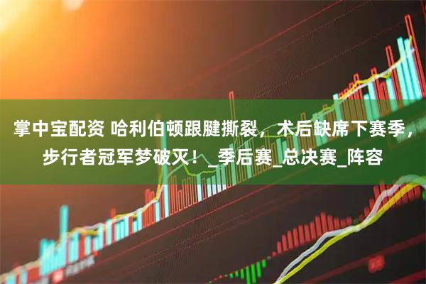 掌中宝配资 哈利伯顿跟腱撕裂,术后缺席下赛季,步行者冠军梦破灭!_季后赛_总决赛_阵容