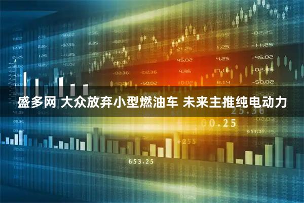 盛多网 大众放弃小型燃油车 未来主推纯电动力