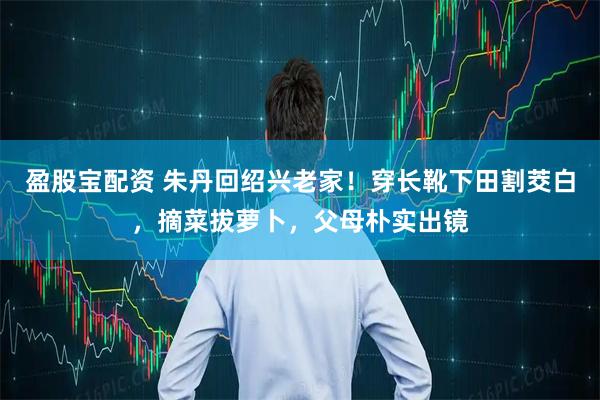 盈股宝配资 朱丹回绍兴老家!穿长靴下田割茭白,摘菜拔萝卜,父母朴实出镜