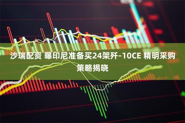 沙瑞配资 曝印尼准备买24架歼-10CE 精明采购策略揭晓